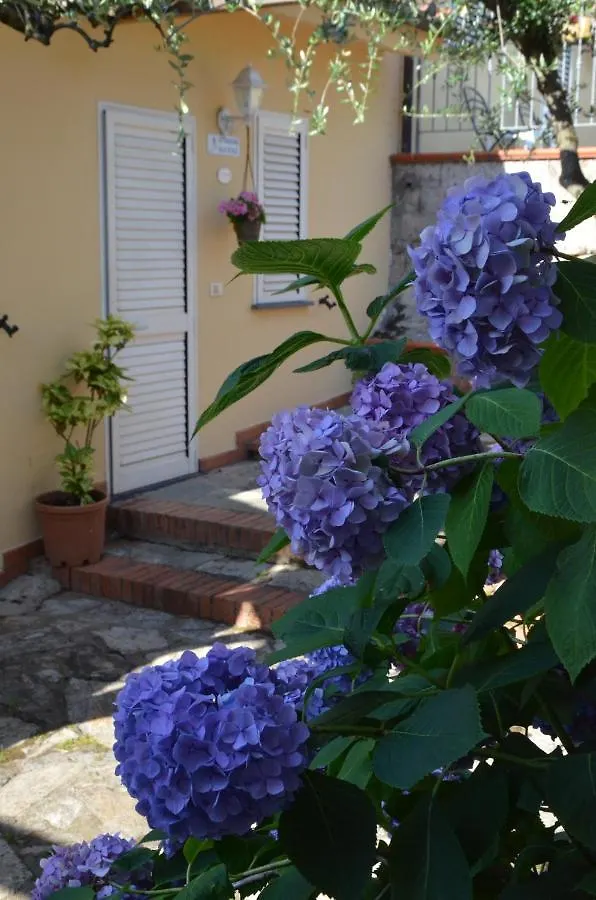 Maison Brinati Bed And Breakfast Monsummano Terme 0*,  Włochy